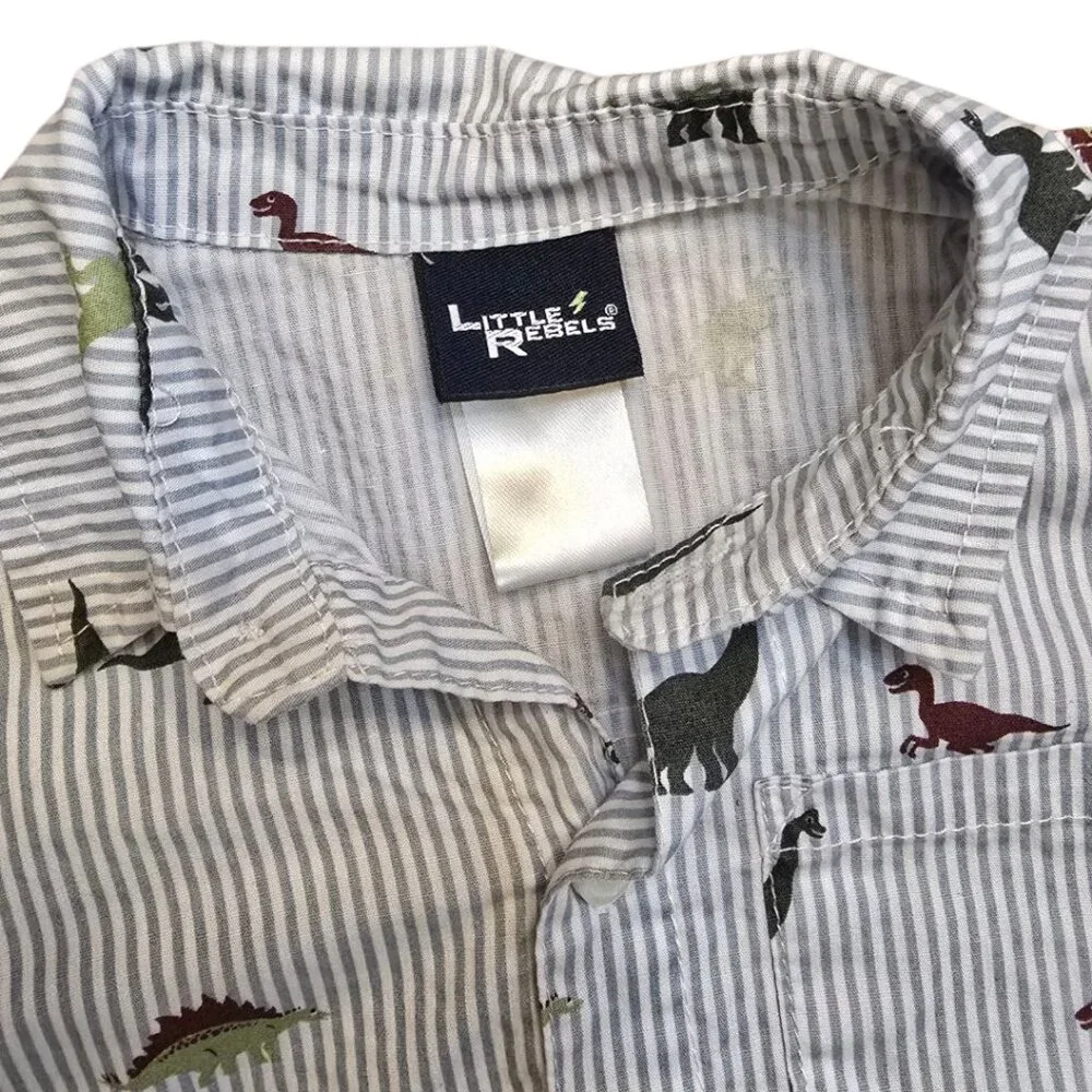 Boys Bundle - Two Striped Button Down Shirts sz 3T